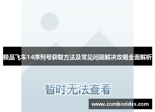 极品飞车14序列号获取方法及常见问题解决攻略全面解析